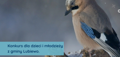 PLAN NA FERIE z B-CKiP. Weź udział w konkursie fotograficznym!