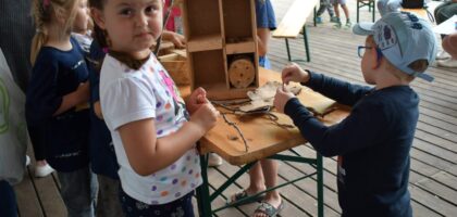 Owady i pszczoły w rodzinnej warsztatowni