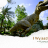 I Wyjazd do Łeby – 28 lipca