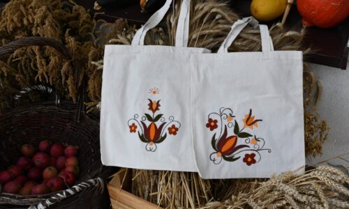 Borowiacki FOLK – informacje o projekcie