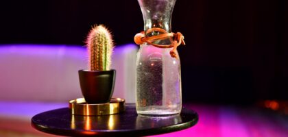 Fotorelacja ze spektaklu „Kawaler”