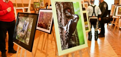 Wystawa fotografii Marka Gromka – fotorelacja