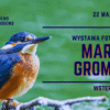 Wystawa fotografii Marka Gromka